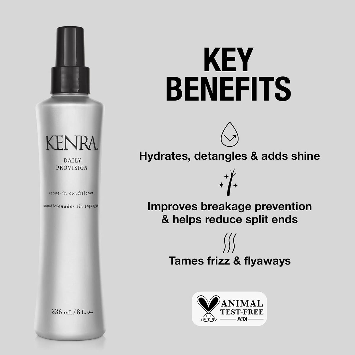 Kenra Daily Provision controls humidity and static for smoother hair