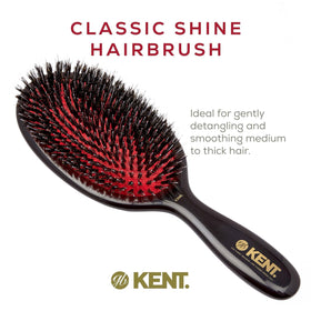 Kent oval cushion brush head with gentle glide across the scalp