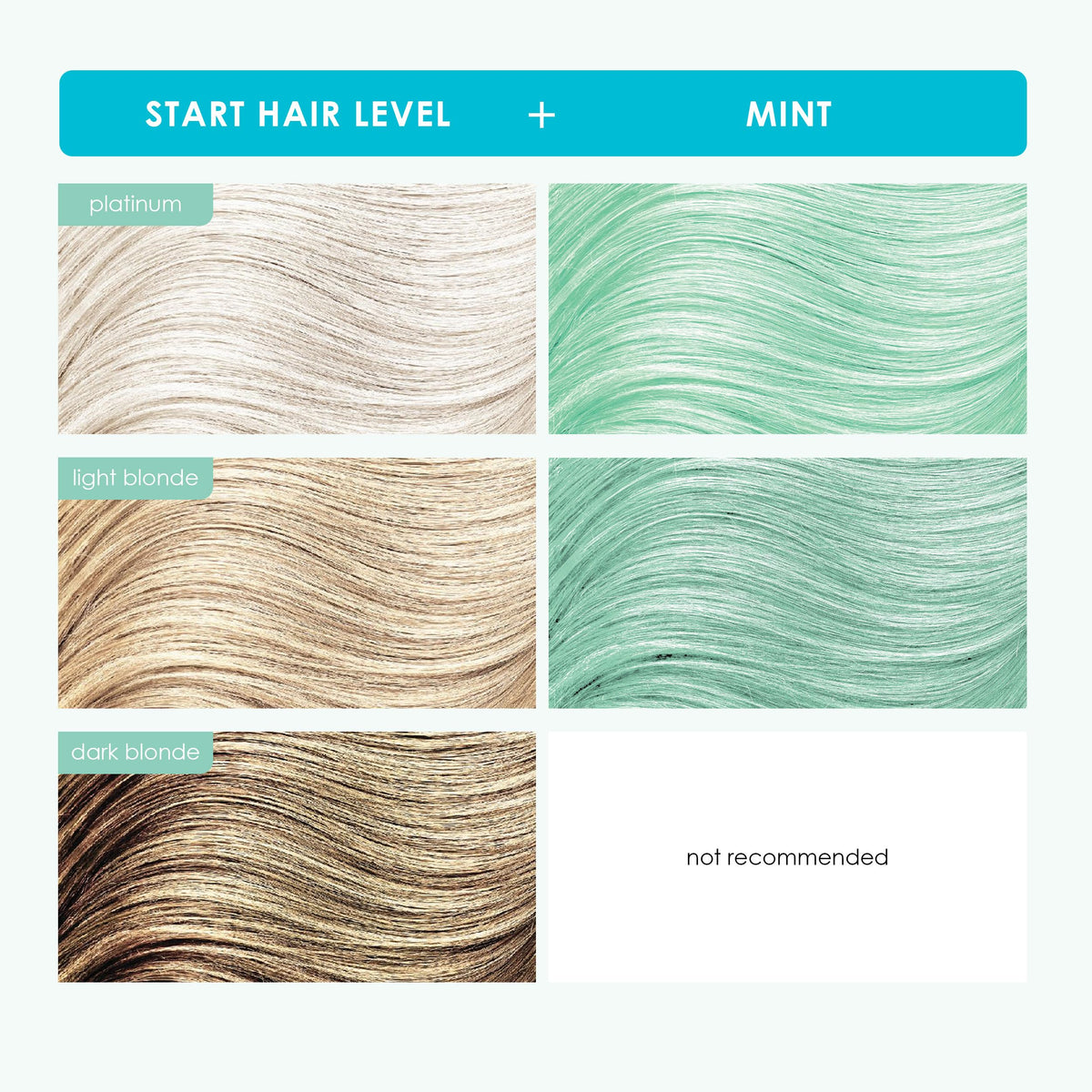 Dry-hair application for deeper mint color with Keracolor Clenditioner Mint