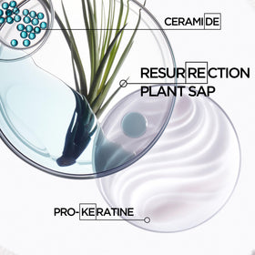 Back label detail shows usage guidance for hair repair.