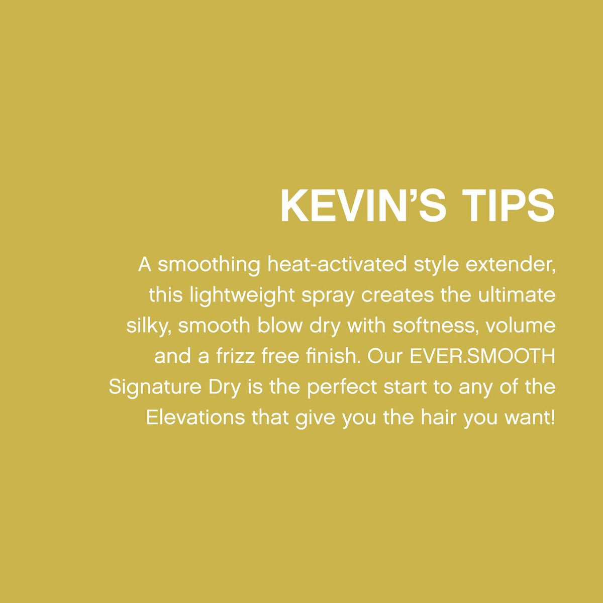 KEVIN.MURPHY packaging and branding visible on the box for BLOW.DRY EVER.SMOOTH.