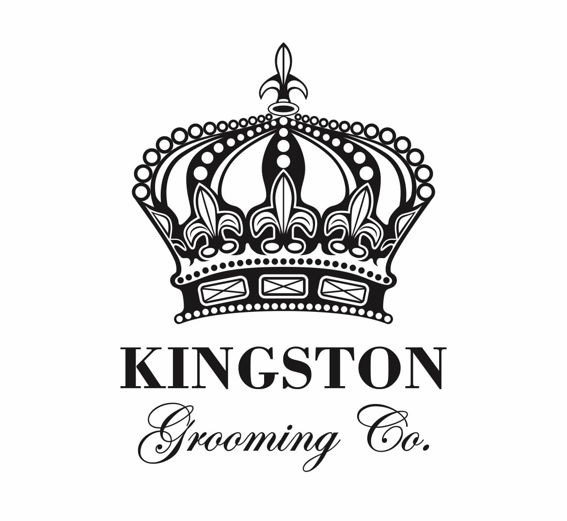 Kingston Grooming Co Original Wave Brush packaging highlights durable and travel-ready design.