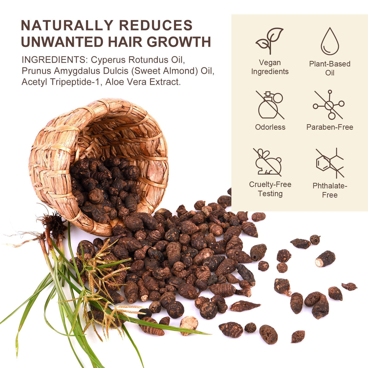KITNOBLIS Cyperus Rotundus Oil on legs for smooth skin