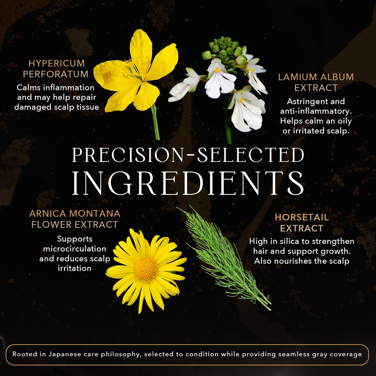 KIWABI extracts close-up highlights 31 botanical extracts for hair hydration