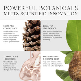 Kiwabi Root Beaute Regrowth Serum close-up label highlighting fragrance-free formula for sensitive scalps