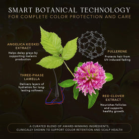 KIWABI Root Vanish Angelica Keiskei plant illustrates nourishing care for dyed hair.