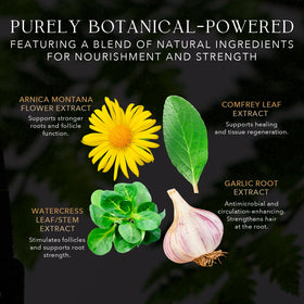 Botanical extracts like ginseng and licorice in KIWABI serum