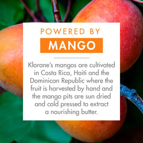 Creamy texture of Klorane Mango Butter conditioner shown up close
