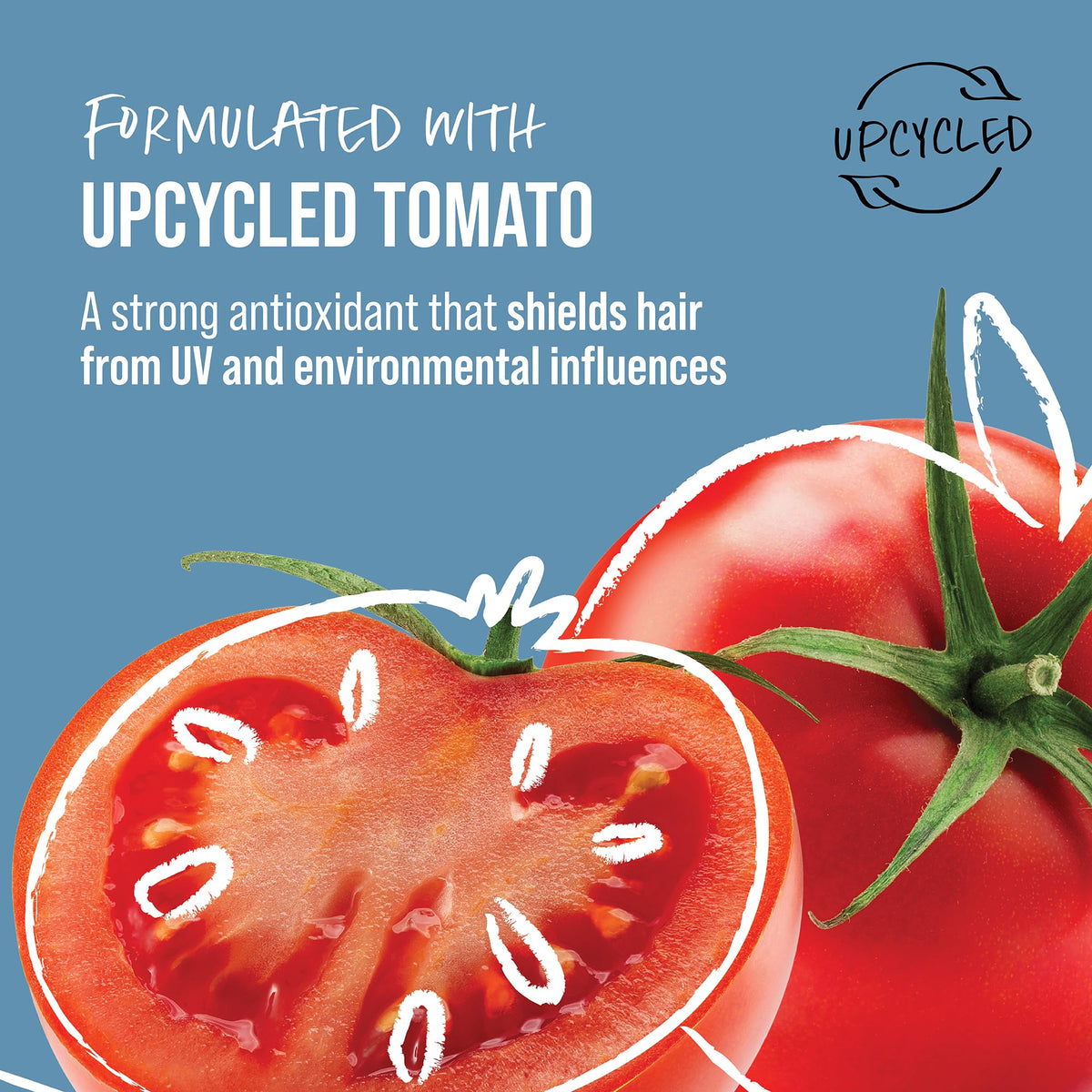 KMS HairStay dandruff-free formula is gentle on the scalp during use.