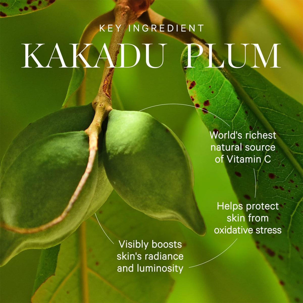 KORA Organics Kakadu Plum Serum hand application for morning routine.