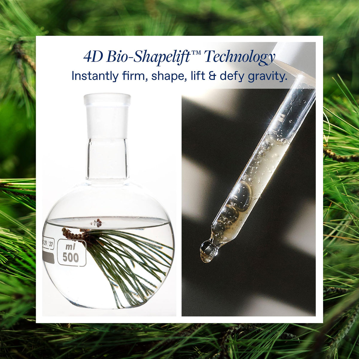 Close-up of Korres Black Pine ingredients boosting elasticity