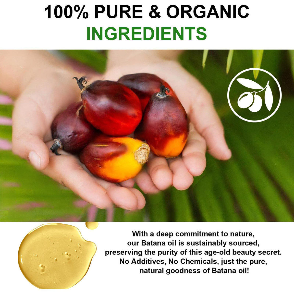 KPNEMA Batana oil hair nourishment close-up, enhances elasticity and luster