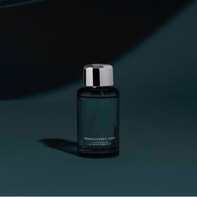 Kristin Ess Translucence Three gloss on hair after application