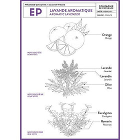 La Compagnie de Provence lavender fragrance close-up captures calming, floral notes