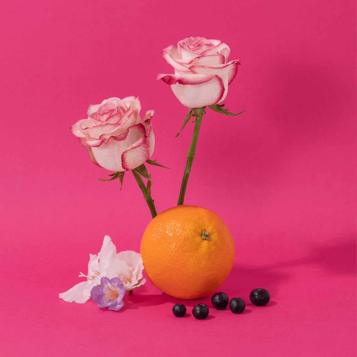 Provence-inspired scene with rose petals, illustrating the scent profile.