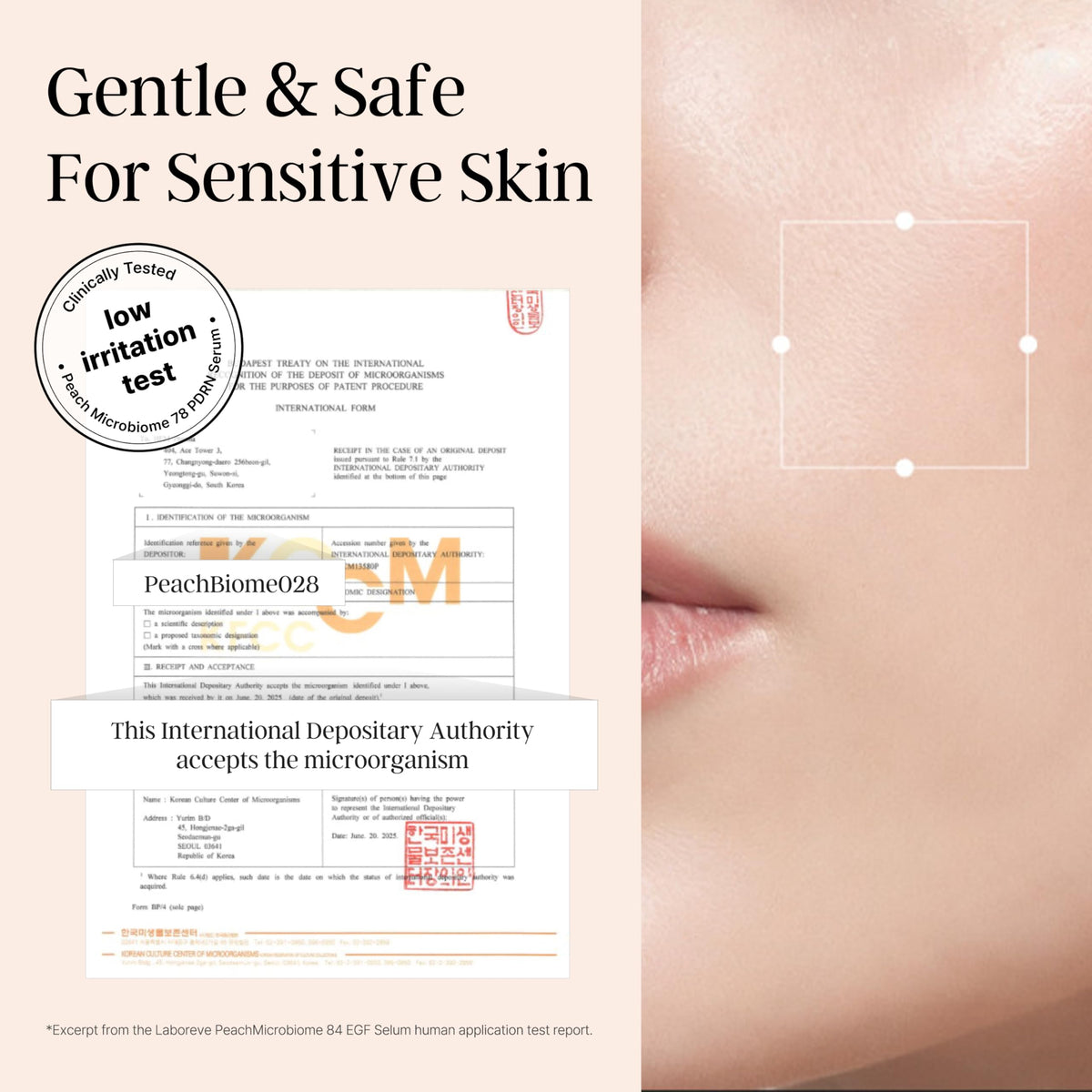Laboreve PeachMicrobiome 84 EGF Serum application scene with peach-toned packaging and soothing vibe.