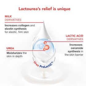 Lactovit Lactourea lotion texture close-up highlights rich hydration.