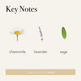 LAFCO New York Chamomile Lavender liquid soap foam showcases rich lather and hydrating skin feel.