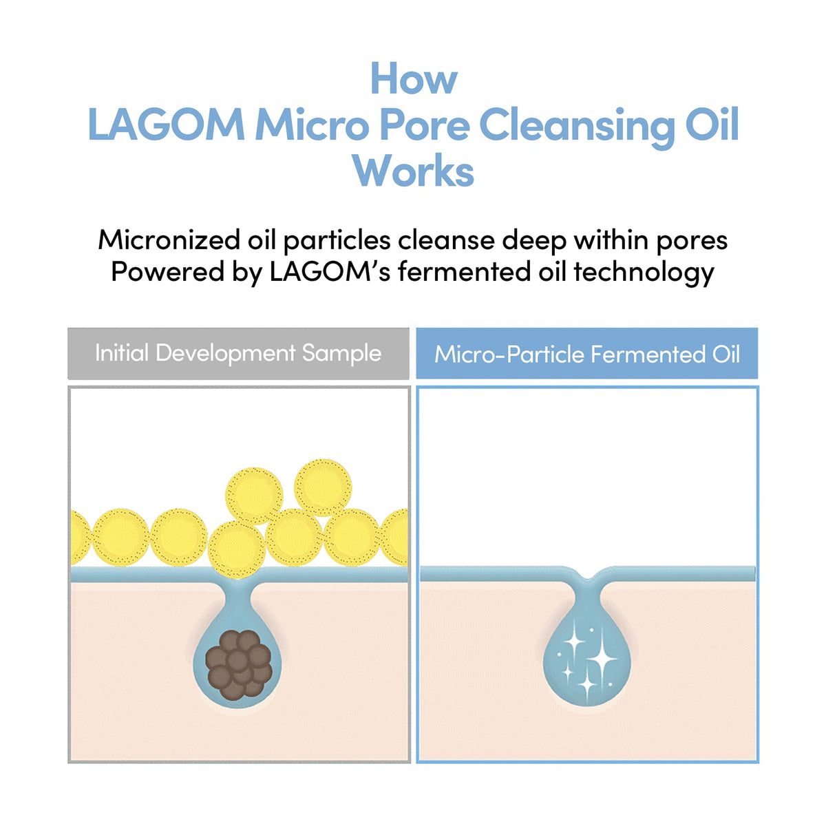 LAGOM pore-tightening ingredients visual indicating sebum regulation.