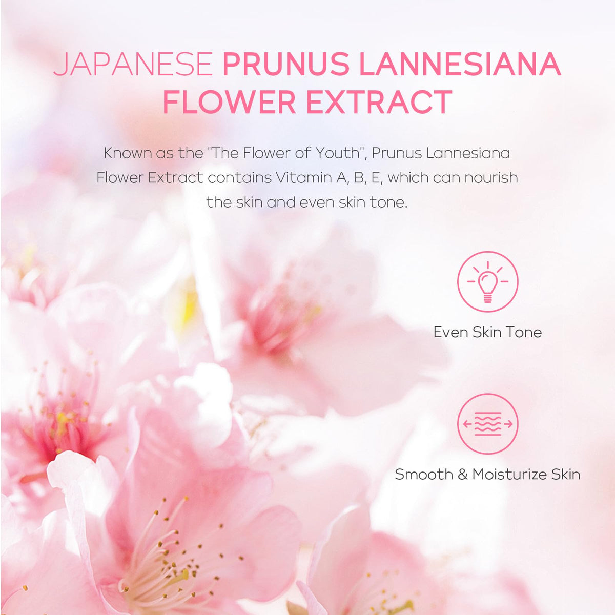 LAIKOU Sakura Serum dropper for nourishing hydration and glow