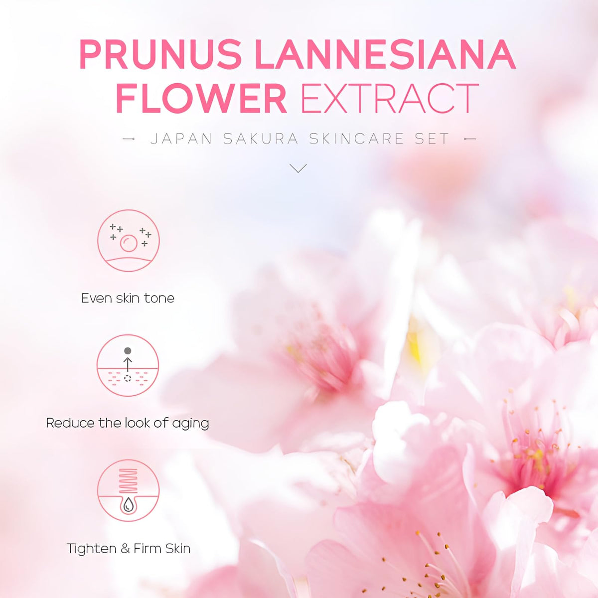 LAIKOU Sakura Mud Mask purifies pores and balances skin appearance