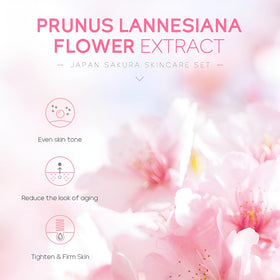 LAIKOU Sakura Mud Mask purifies pores and balances skin appearance