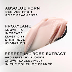 Lancôme Absolue Soft Cream pump dispenser enables easy, precise application