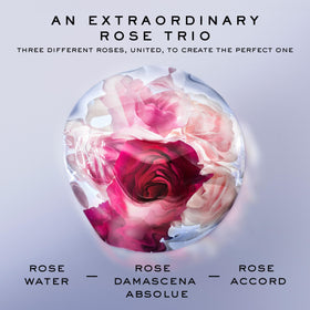 Woody musk undertones add warm depth to Lancôme Rose Extraordinaire.