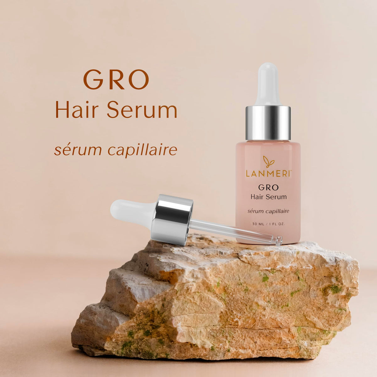 Lanmeri dermal papilla support concept hints at potential hair vitality