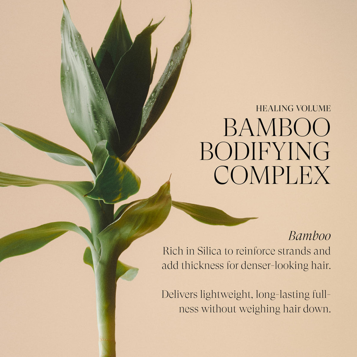 L'ANZA Healing Volume conditioner texture image suggests frizz control
