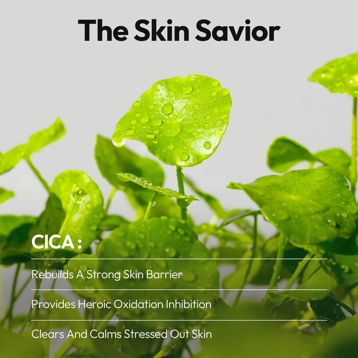 LAPCOS Cica Sheet Mask being applied for a spa-like refresh