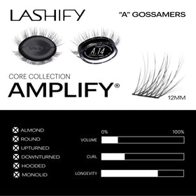 Application-ready Lashify Amplify refill image for convenient daily lash routines