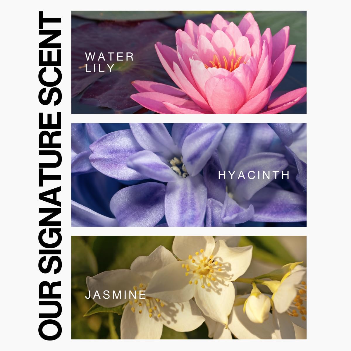 Lasio Hypersilk shampoo color protection close-up emphasizing lasting vibrancy