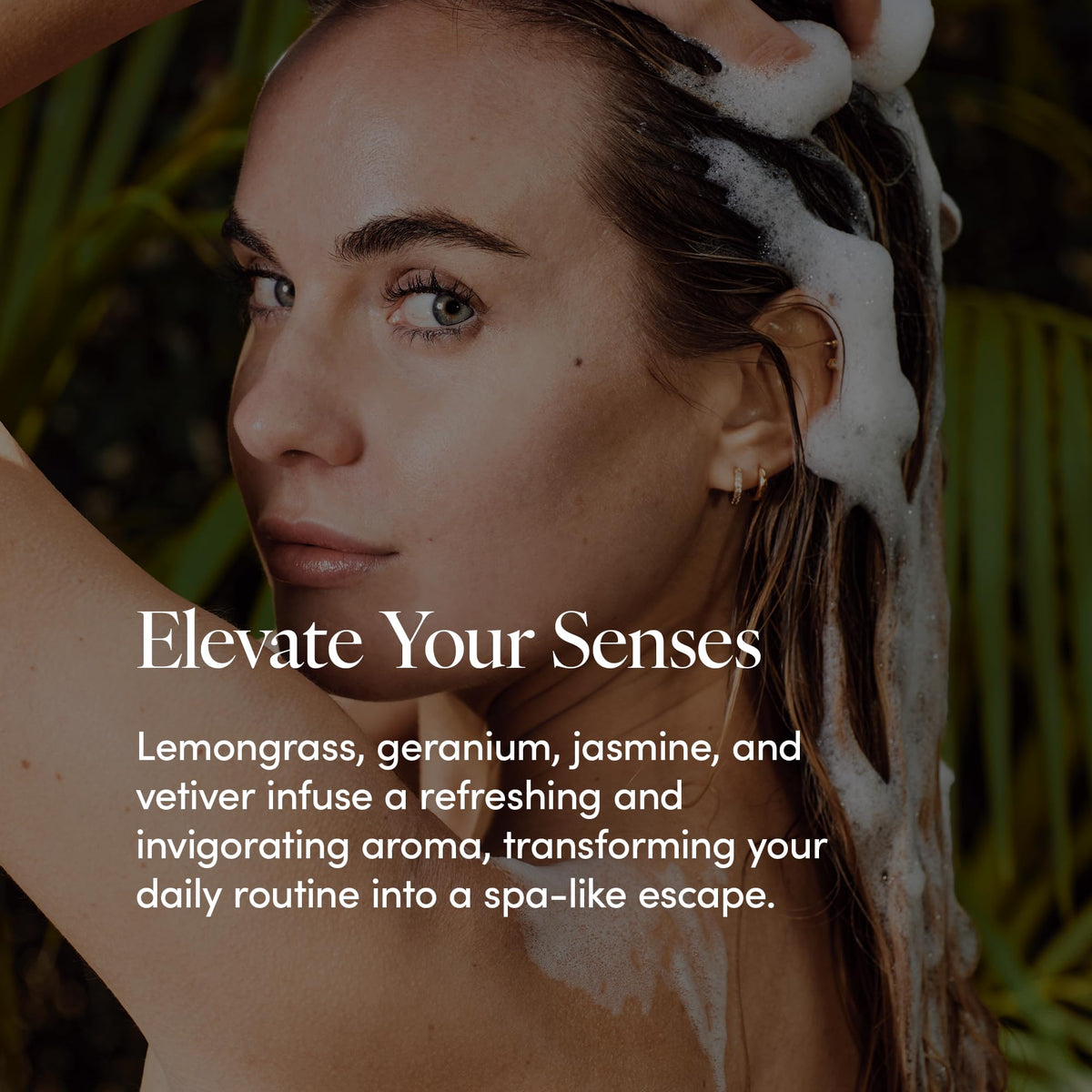 Bamboo stem extract visual indicating nourishing base
