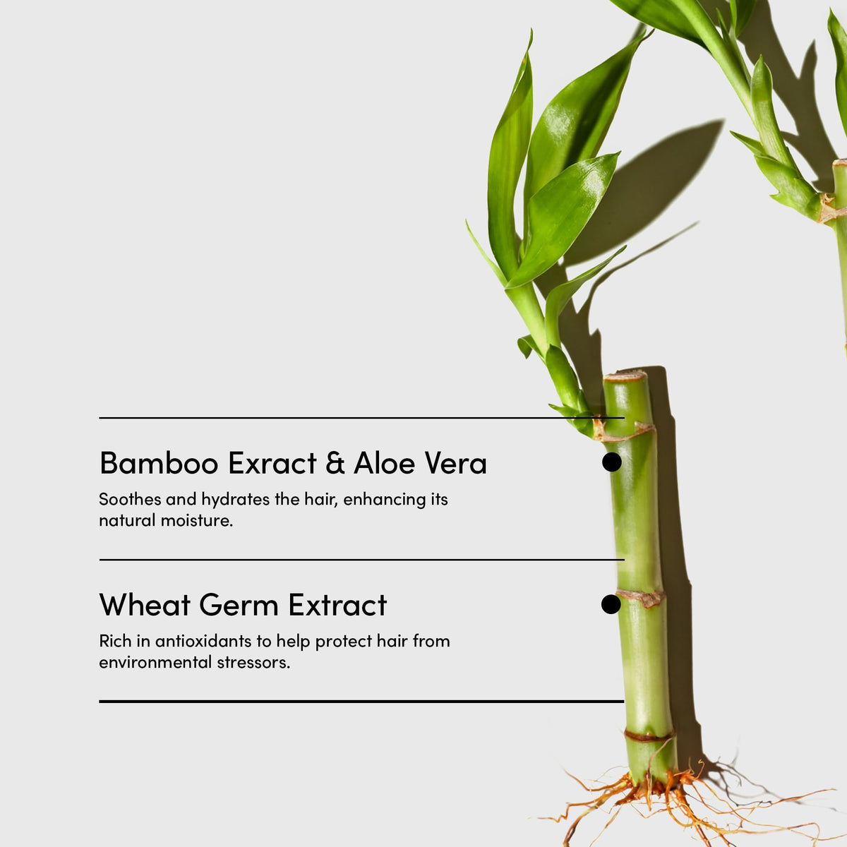 Lemongrass aroma in a refreshing shower scene