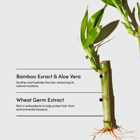 Lemongrass aroma in a refreshing shower scene