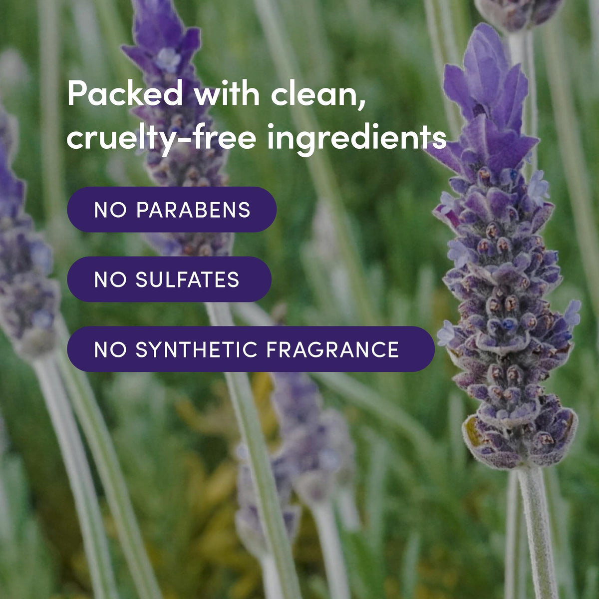 LATHER ingredients highlight safflower and almond oils for nourished skin.