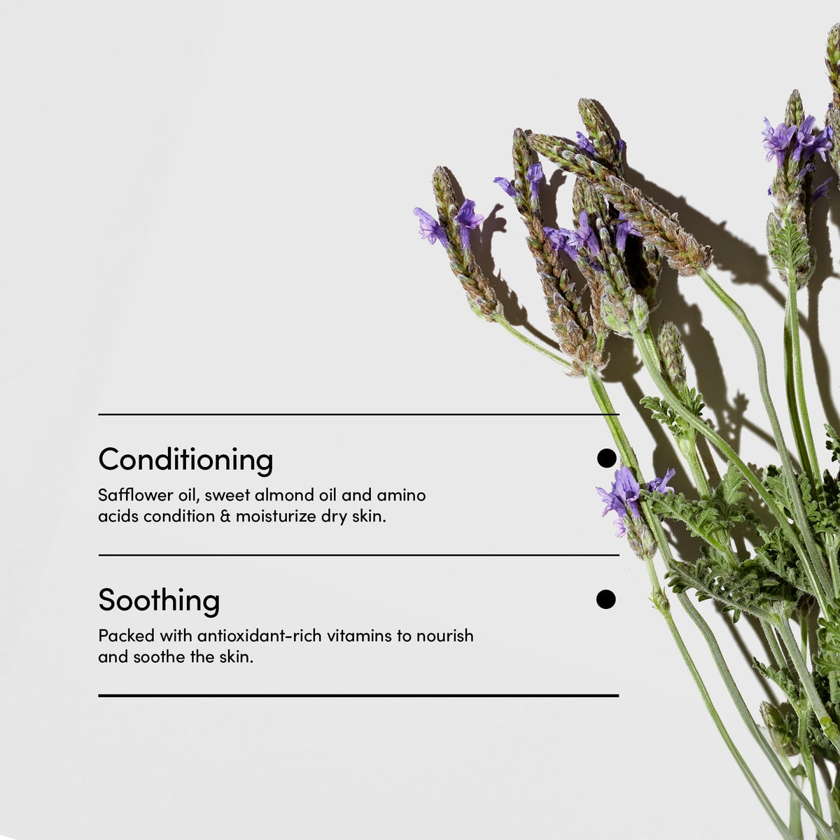 LATHER Lavender Lime fragrance from natural oils for a refreshing scent.