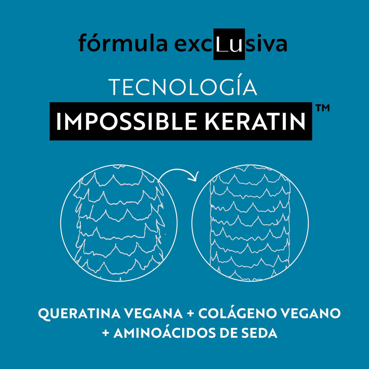 LATINUS Lu Murumuru Butter ingredient emphasizes humidity protection