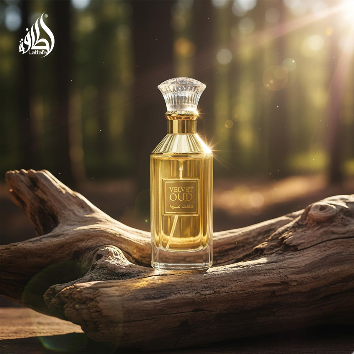Lattafa Velvet Oud label details, classic typography and premium branding