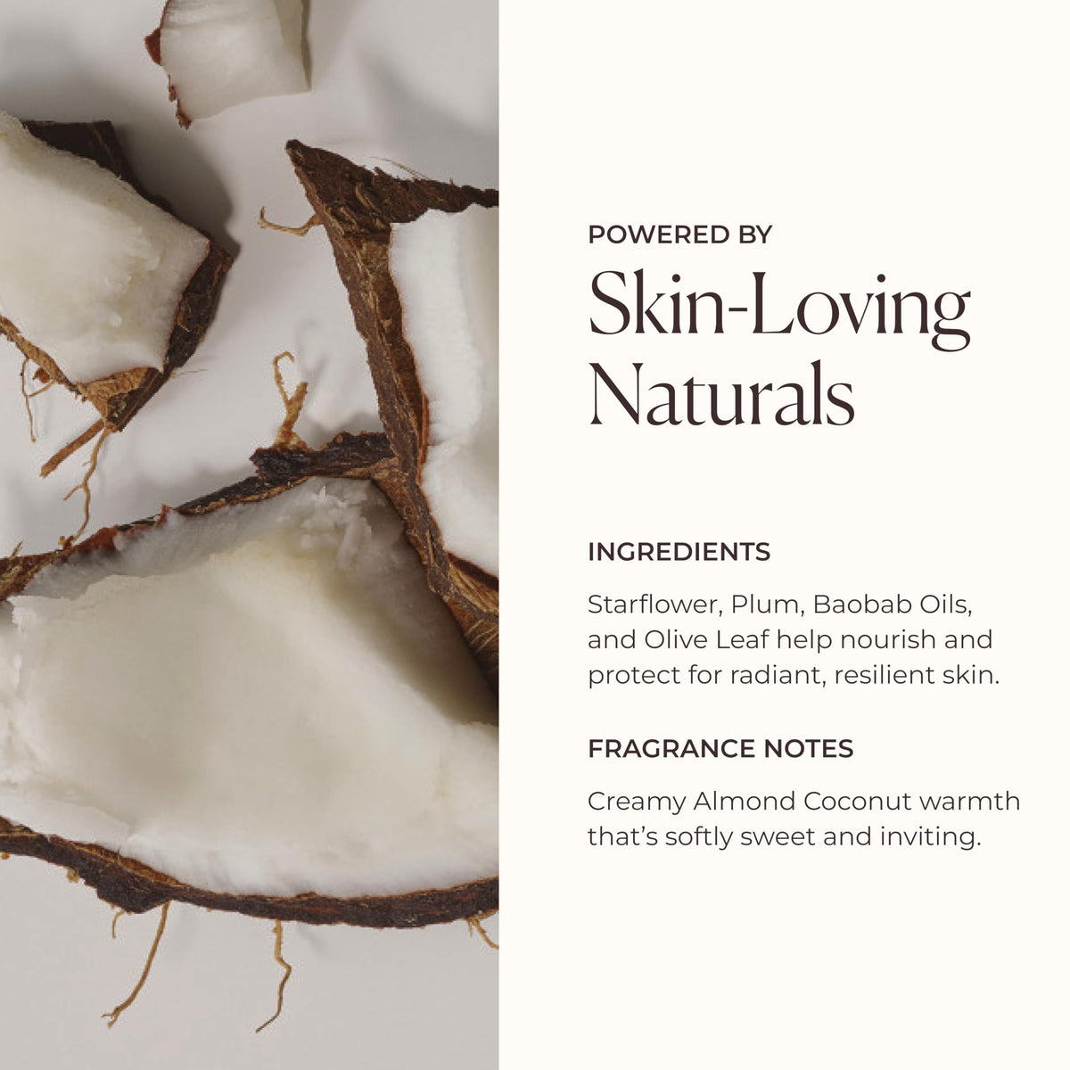 Close-up of olive oil and plum seed oil highlights Laura Mercier nourishing ingredients.