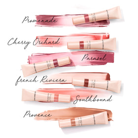 Packaging of Laura Mercier Tinted Moisturizer Blush with applicator and bottle