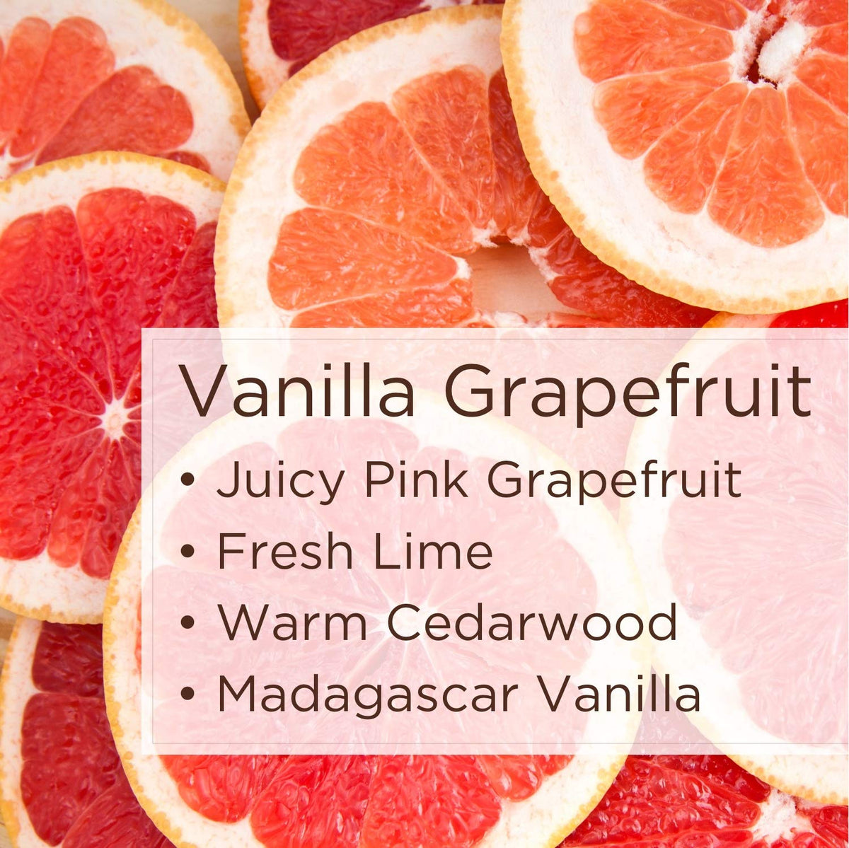 Lavanila Vanilla Grapefruit deodorant 2-pack boxed set ready for gifting