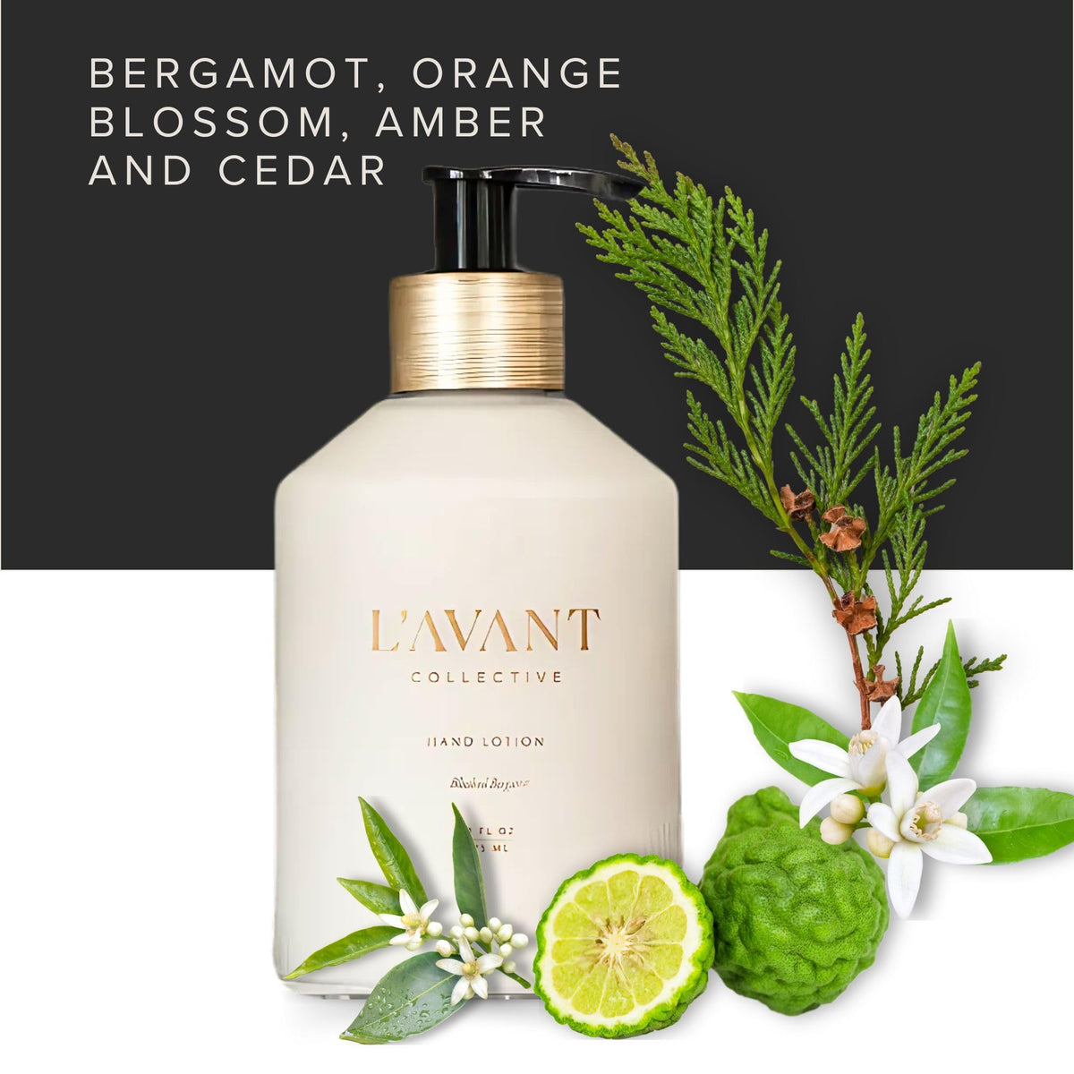 L'AVANT Collective shea butter texture close-up for deeply hydrated skin.