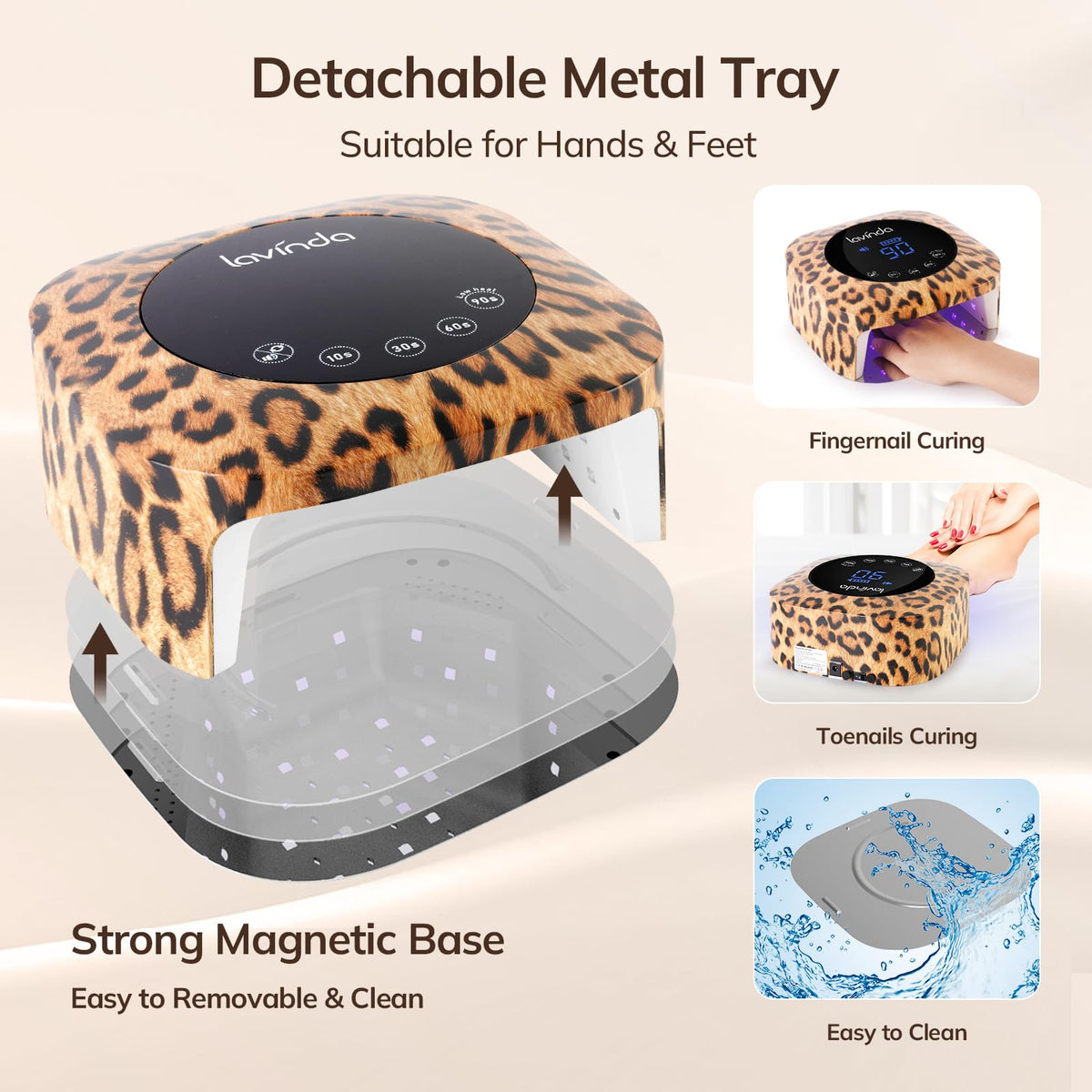 Lavinda detachable-base design simplifies cleaning and setup