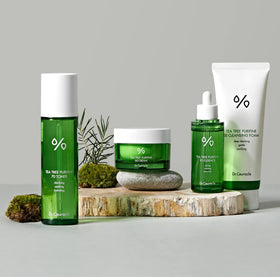 Leegeehaam Tea Tree Purifine Cleansing Foam waterless formula highlights light, clean feeling