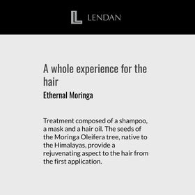 Lendan Moringa Hair Oil applied to wet hair for better spread and absorption.