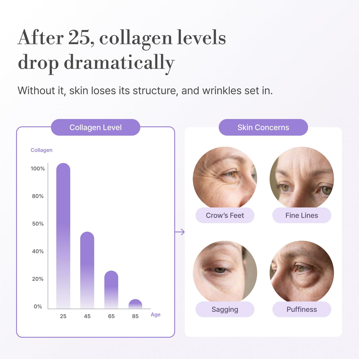 Lepique Peptide-Matrix Eye Cream ingredients highlight with Ginseng and Niacinamide