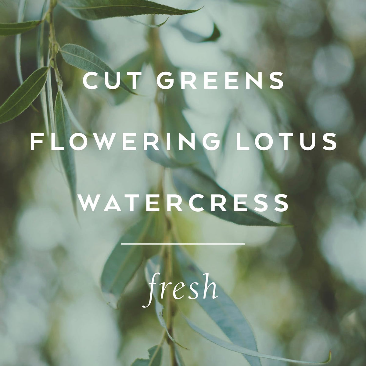 Library of Flowers Willow & Water bubble bath with Cut Greens, Lotus and Watercress notes