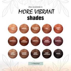 Light Mountain packaging box reflecting natural, trustworthy hair color